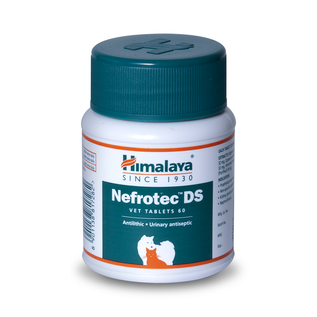 Nefrotec DS (tratar problemas urinarios)