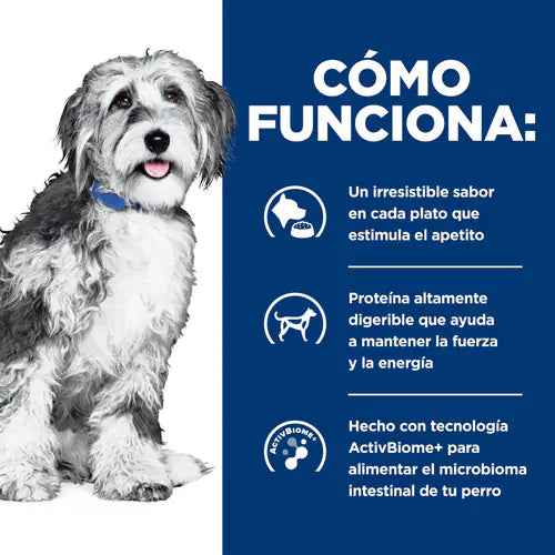 HILL´S PD ONC CARE CANINO