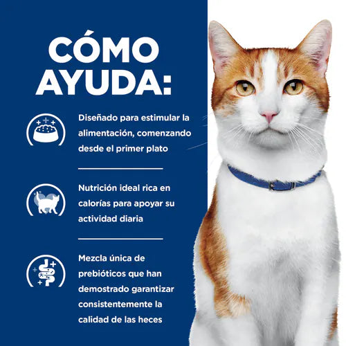HILL´S PD ONC CARE FELINO