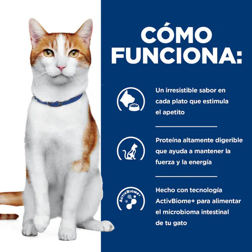 HILL´S PD ONC CARE FELINO