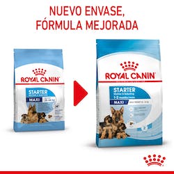 ROYAL CANIN  MAX STARTER MOTHER & BABY DOG