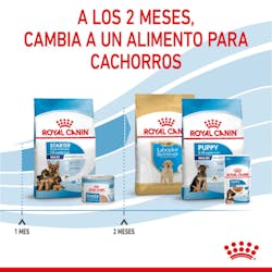 ROYAL CANIN  MAX STARTER MOTHER & BABY DOG