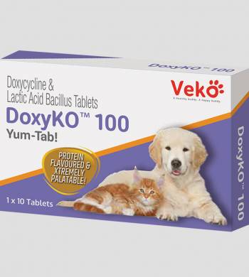 DOXYKO 100 CAJA CON 10 TABLETAS ( ANTIBIÓTICO ORAL Doxiciclina 100 mg)