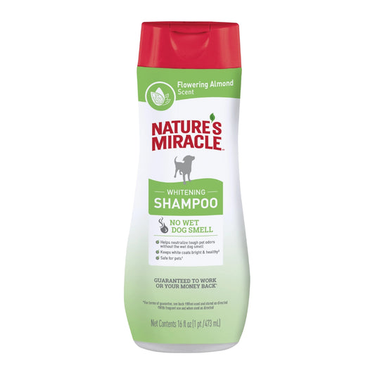 NATURES MIRACLE SHAMPOO WITHENING – ALMOND SCENT