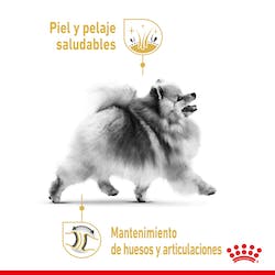 ROYAL CANIN POMERANIA ADULTO