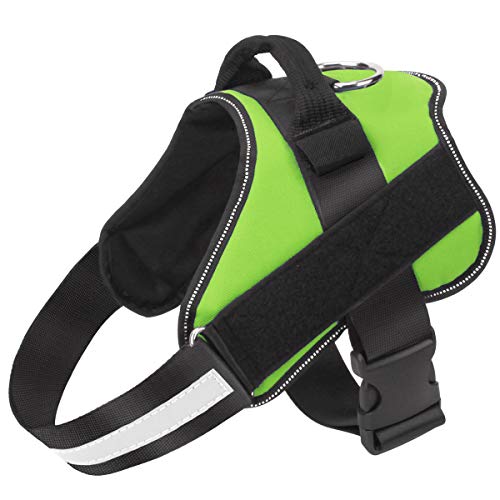 PET SAFETY WALKING HARNESS