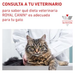 ROYAL CANIN® Satiety Weight Management Feline