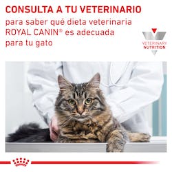 ROYAL CANIN® Gastrointestinal Feline