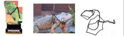 ARNES PARA IGUANA