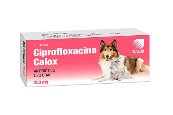 Ciprofloxacina Calox 250mg