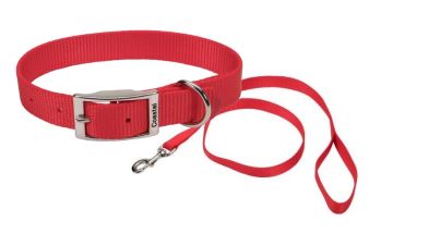 COLLAR DE HEBILLA Y TIRAPERROS DE NYLON – ROJO