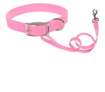 COLLAR DE HEBILLA Y TIRAPERROS DE NYLON – ROSADO