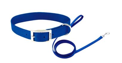 COLLAR DE HEBILLA Y TIRAPERROS DE NYLON – AZUL