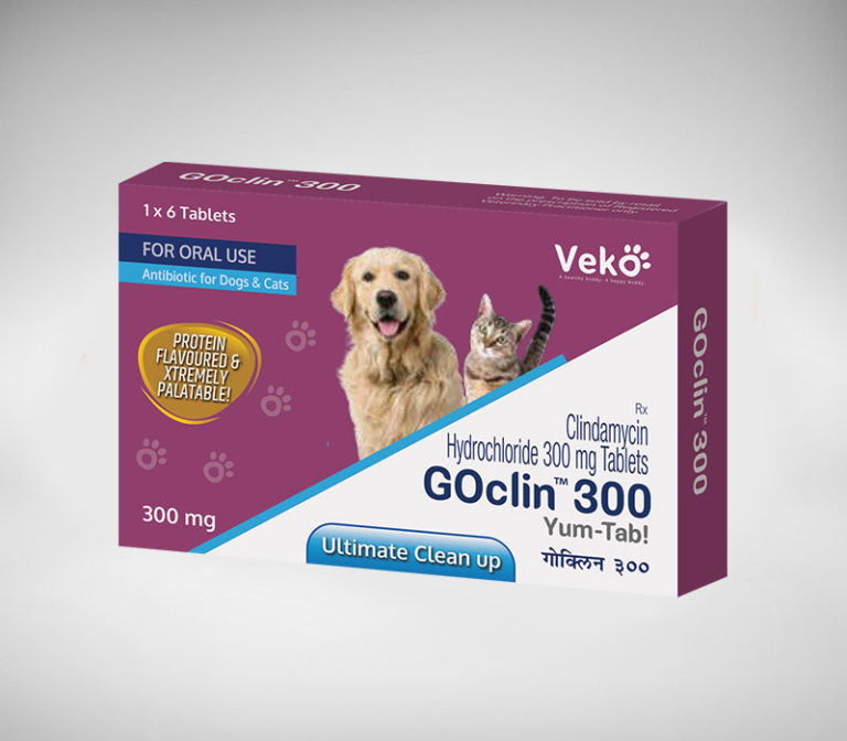 Veko GOclin 300mg (antibiotico)