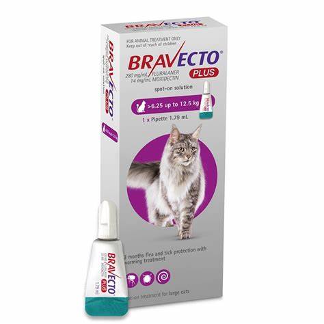 Bravecto Plus Cat 500mg (13.8 lb - 27.5 lb)