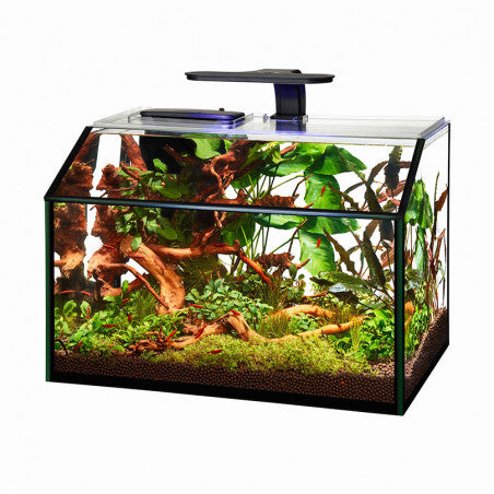 ACUARIO KIT LED PARA CAMARONES - 8.75 GALONES