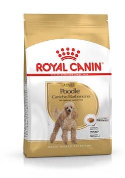 ROYAL CANIN POODLE ADULTO