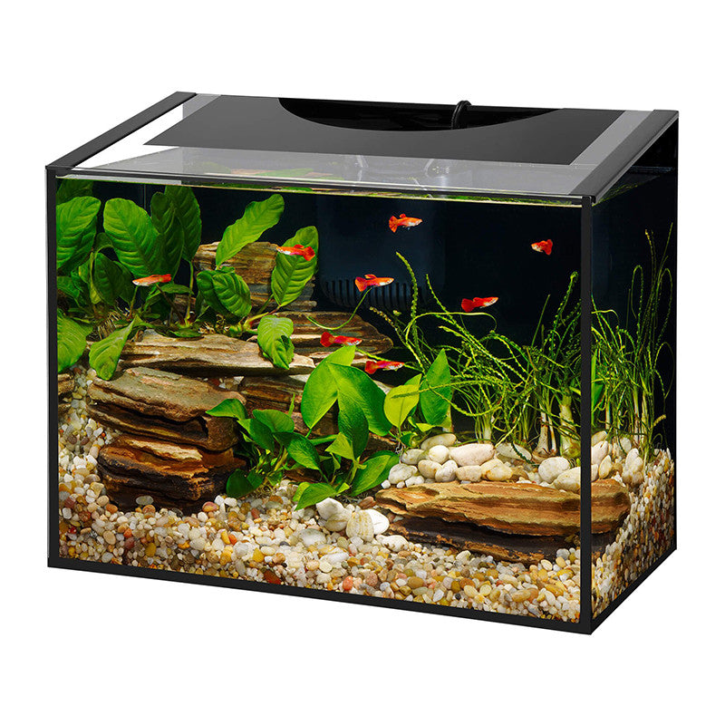 ASCENT AQUARIUM KIT AQUEON - 6G – 10G – 20G