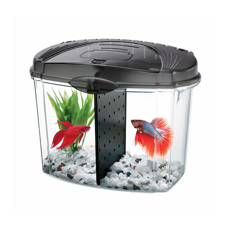 BETTA BOWL KIT 0.5 G AQUEON