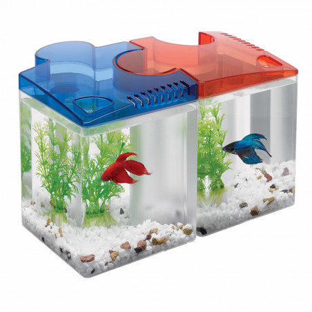 BETTA PUZZLE KITS 0.5 G AQUEON