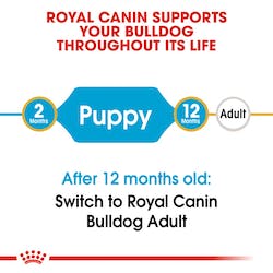 ROYAL CANIN BULLDOG PUPPY