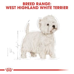 ROYAL CANIN  WESTIE ADULTO