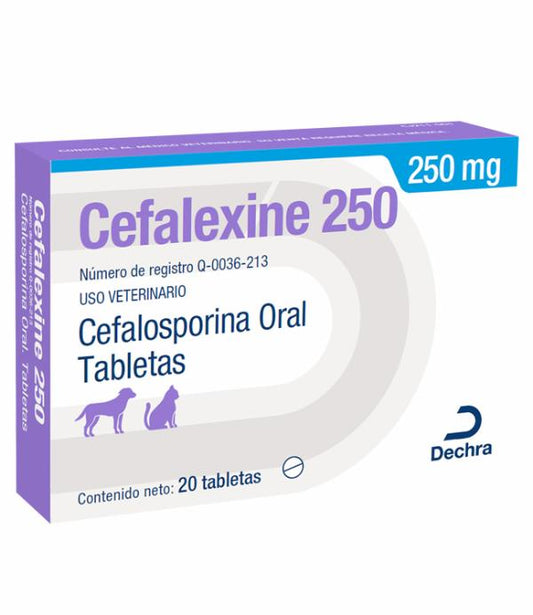 CEFALEXINE DECHRA BROVEL 250MG