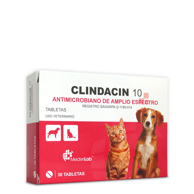 Clindacin 10