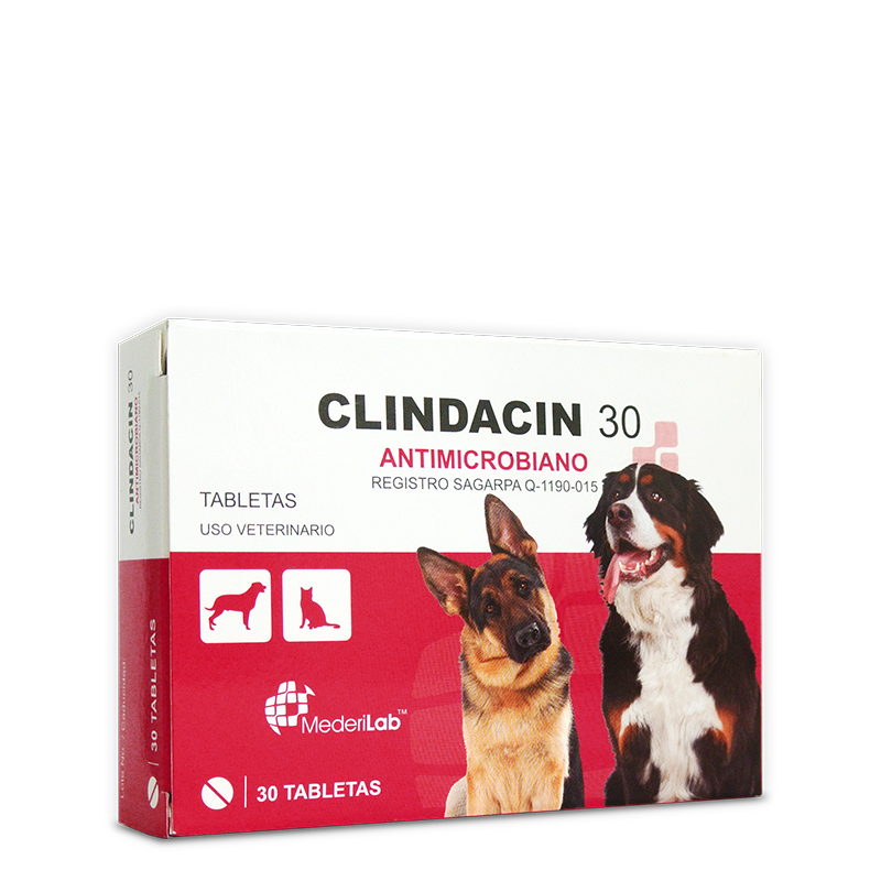 Clindacin 30