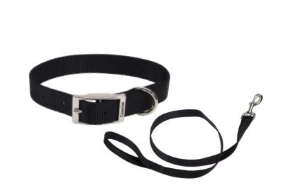 COLLAR DE HEBILLA Y TIRAPERROS DE NYLON – NEGRO