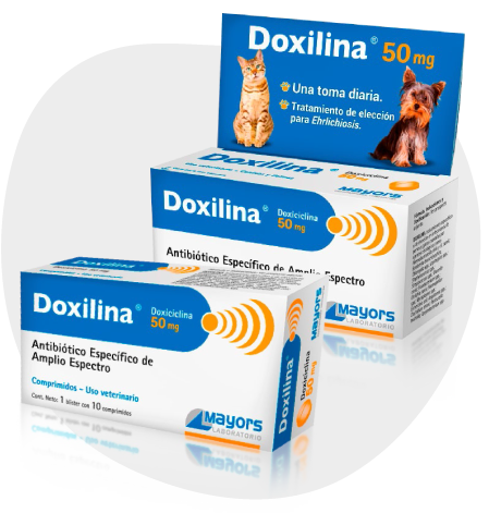 DOXILINA 150 MG 10 TABS (ANTIBIÓTICO DE AMPLIO ESPECTRO)