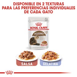 ROYAL CANIN WET AGEING +12 85G