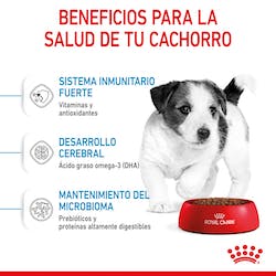 ROYAL CANIN MINI PUPPY