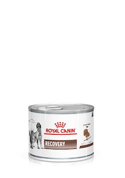 ROYAL CANIN DIET RECOVERY FEL/CAN  195G